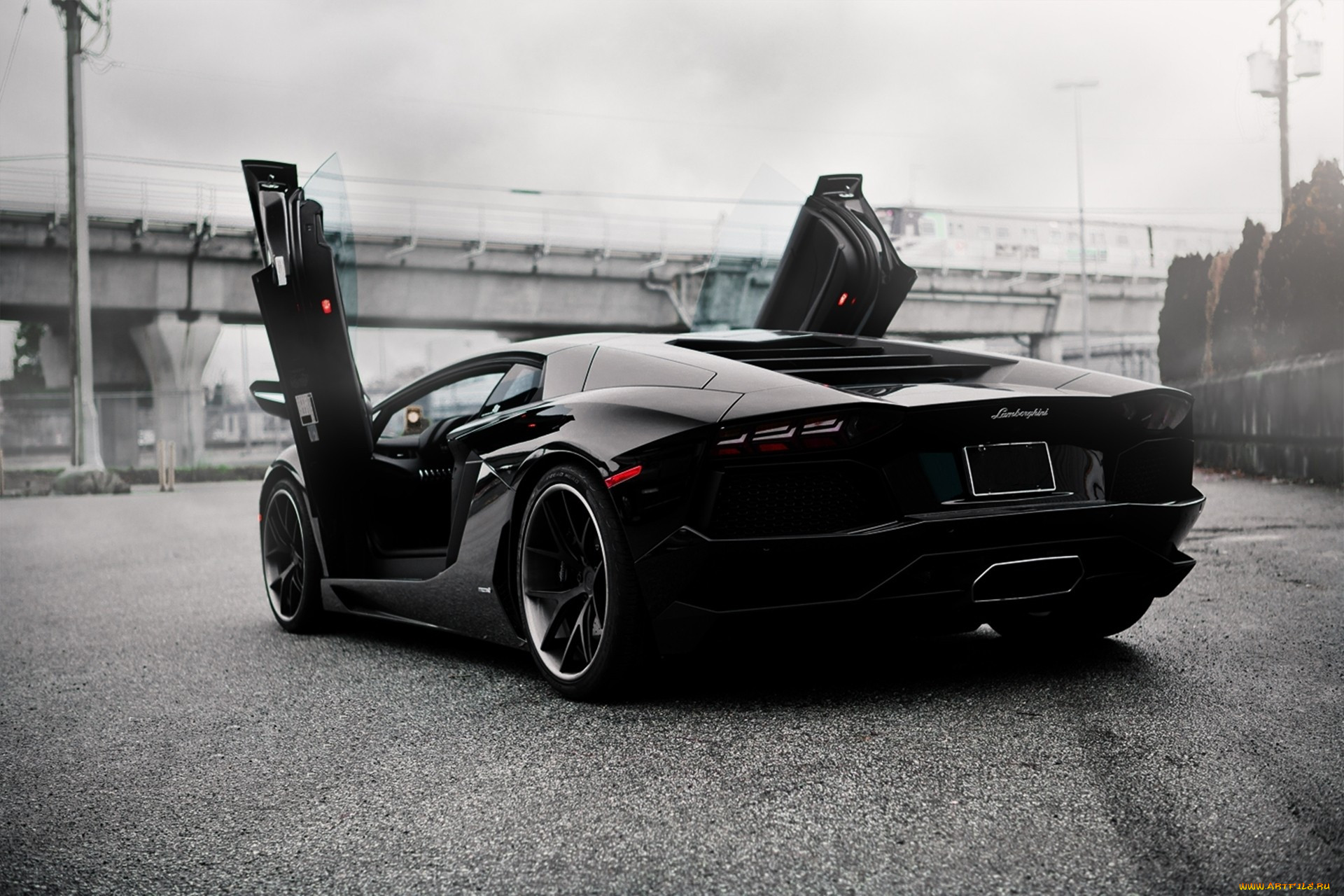 , lamborghini, lambo